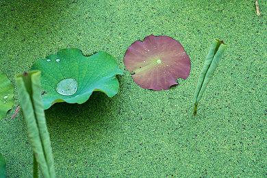 《分享同乐！瓦里奥制造》新中文宣传片 体验版已发布